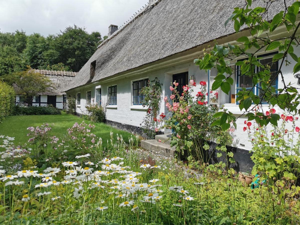 Plantepressen B&B Fåborg Екстериор снимка
