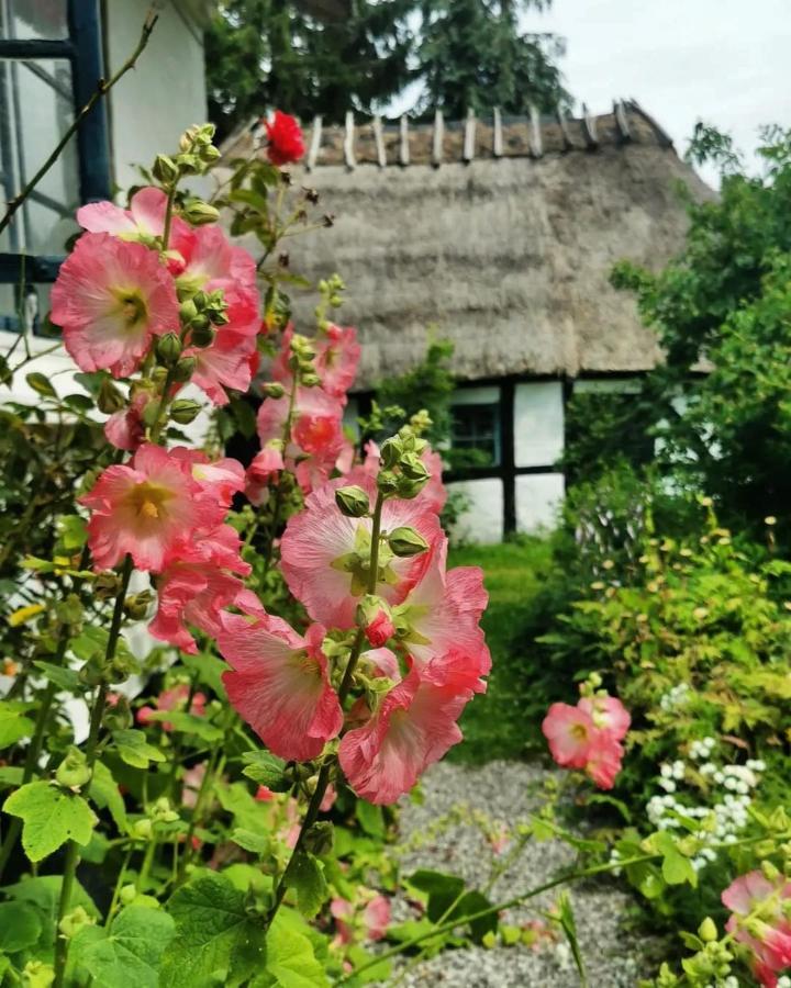 Plantepressen B&B Fåborg Екстериор снимка